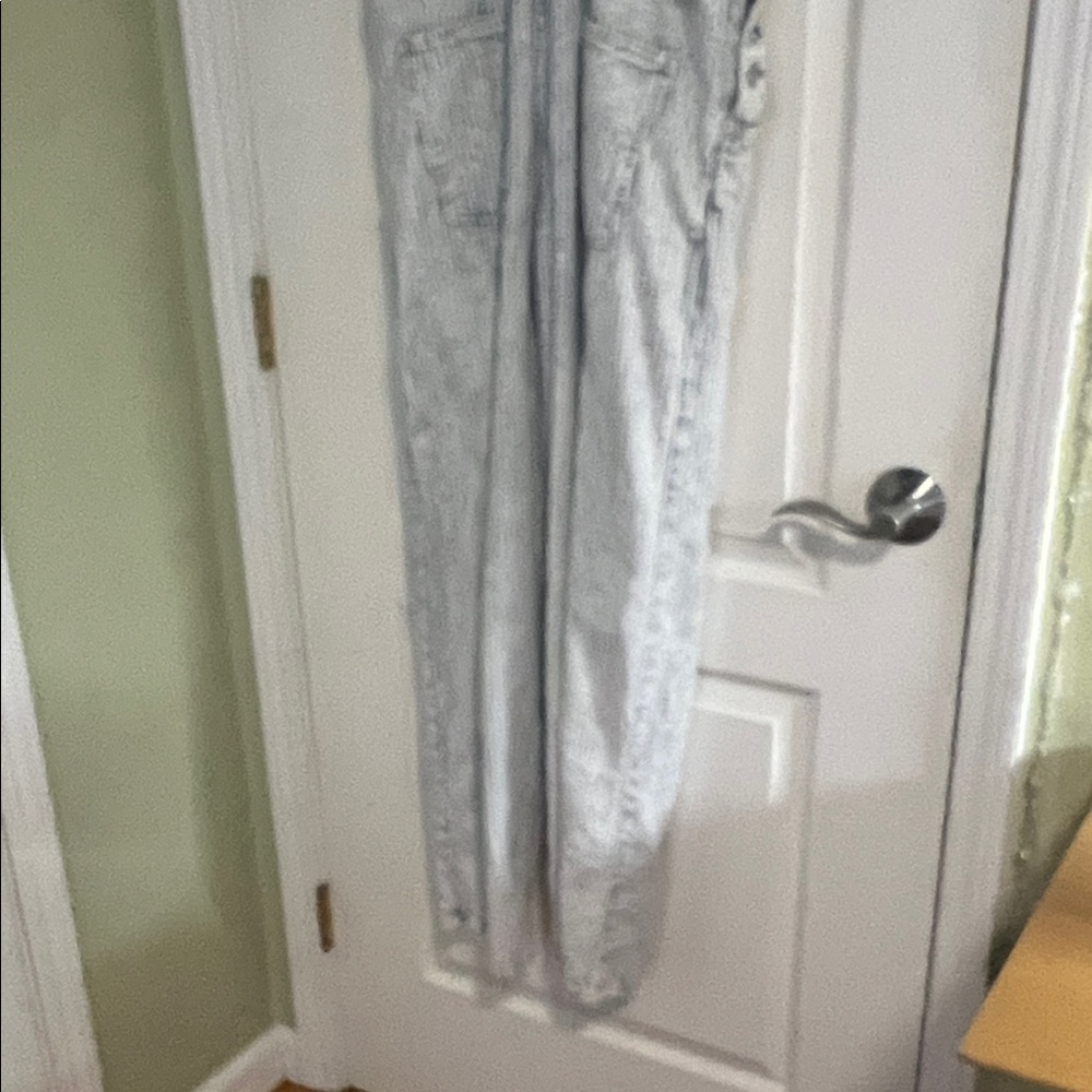 Free People Striped Denim Overalls - Picture 5 of 11